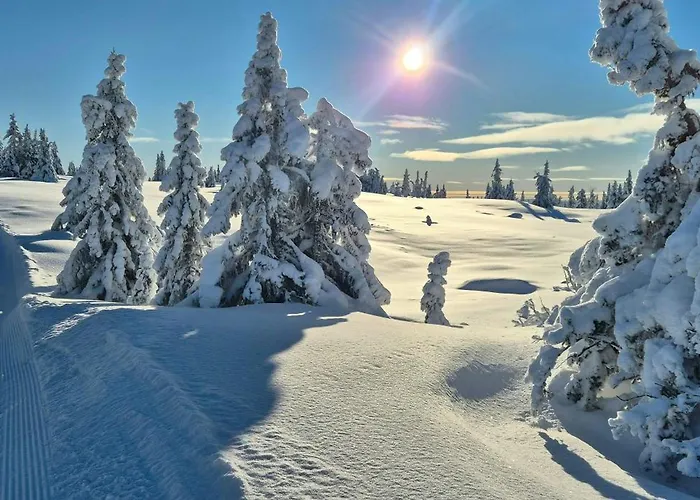 Flat With View In * Sjusjoen