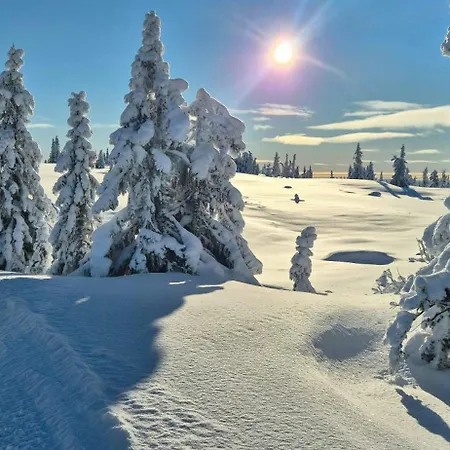 Flat With View In * Sjusjøen